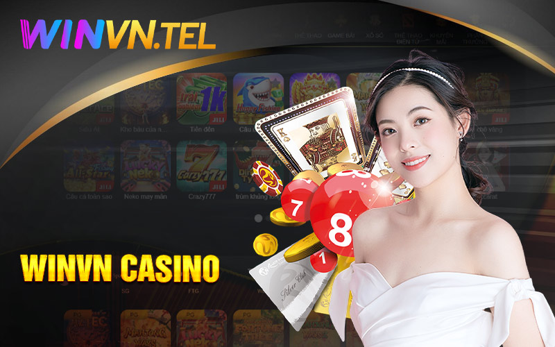 Thông tin tổng quan về Winvn