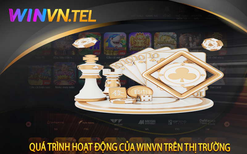 Quá trình hoạt động của WinVN trên thị trường